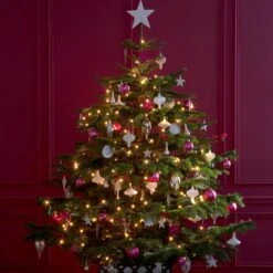 Core Connect 20m 200 Warm White Connectable Fairy Lights Clear Cable -Holiday Decor Shop CC1 YW Warm White LED Christmas Lights 1 P3 e2ec781a 0318 4d1c a2e3 b4a8dd79e77f