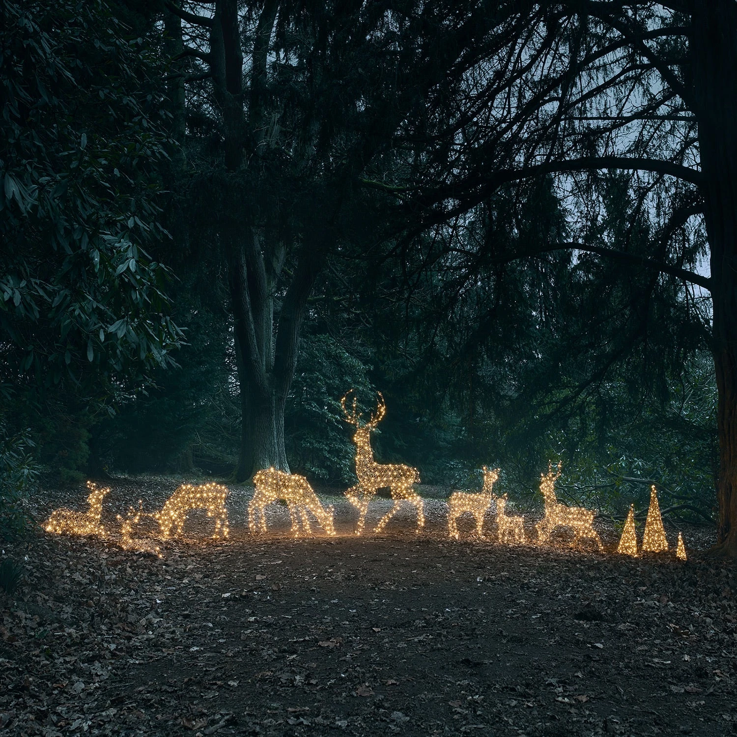 Set Of 8 Studley Reindeer & Christmas Tree Cones 2 Set Of 8 Studley Reindeer & Christmas Tree Cones - Image 2