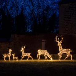 Set Of 5 Studley Rattan Light Up Reindeer 24v