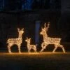 Studley Rattan Light Up Reindeer Family Christmas Figures 24v