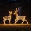 Studley Rattan Stag & Doe Light Up Reindeer Duo 24v