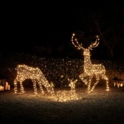 Large Studley Rattan Light Up Reindeer Family 24v