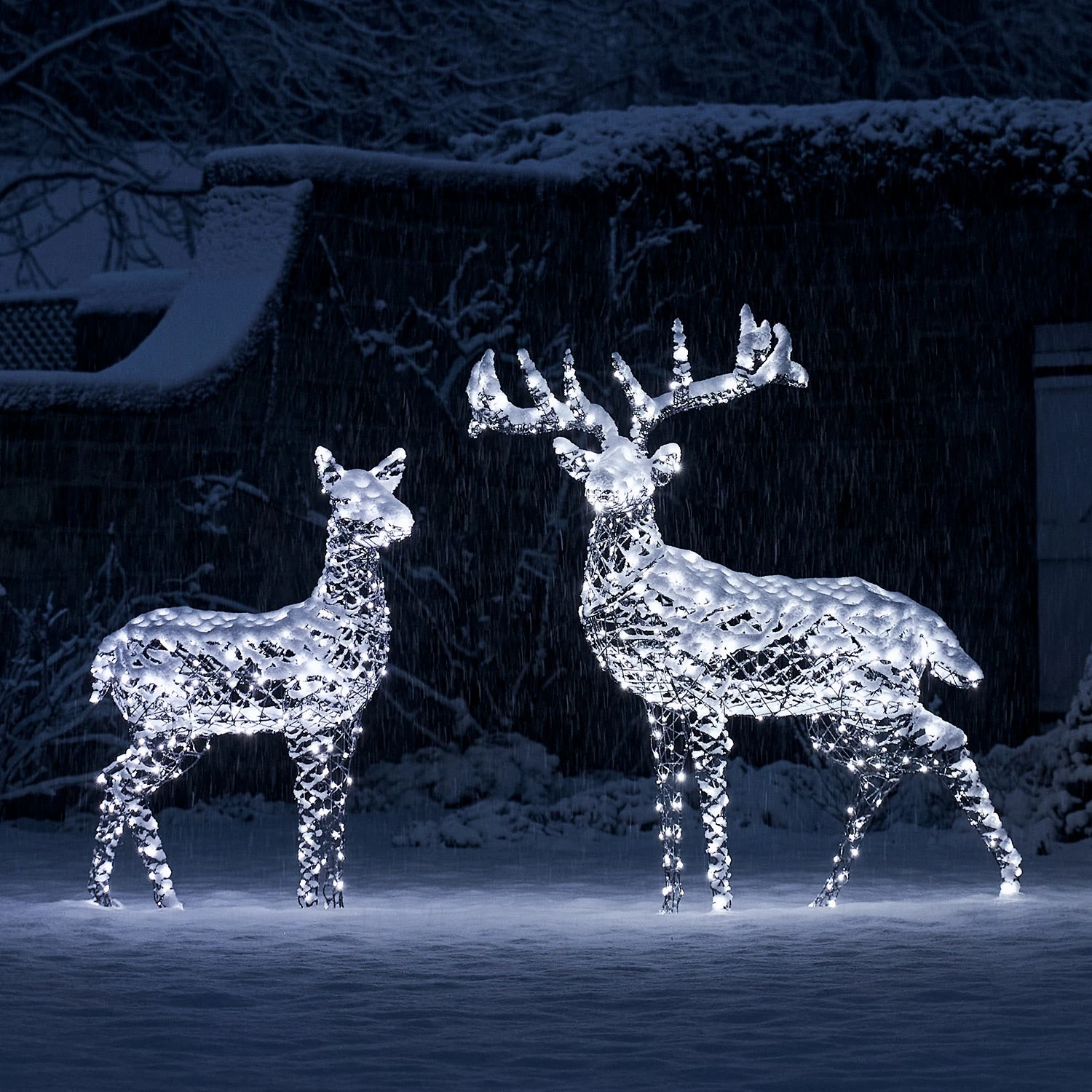 Large Harlow Rattan Stag & Doe Dual Colour LED Light Up Reindeer Duo 3 Large Harlow Rattan Stag & Doe Dual Colour LED Light Up Reindeer Duo - Image 3