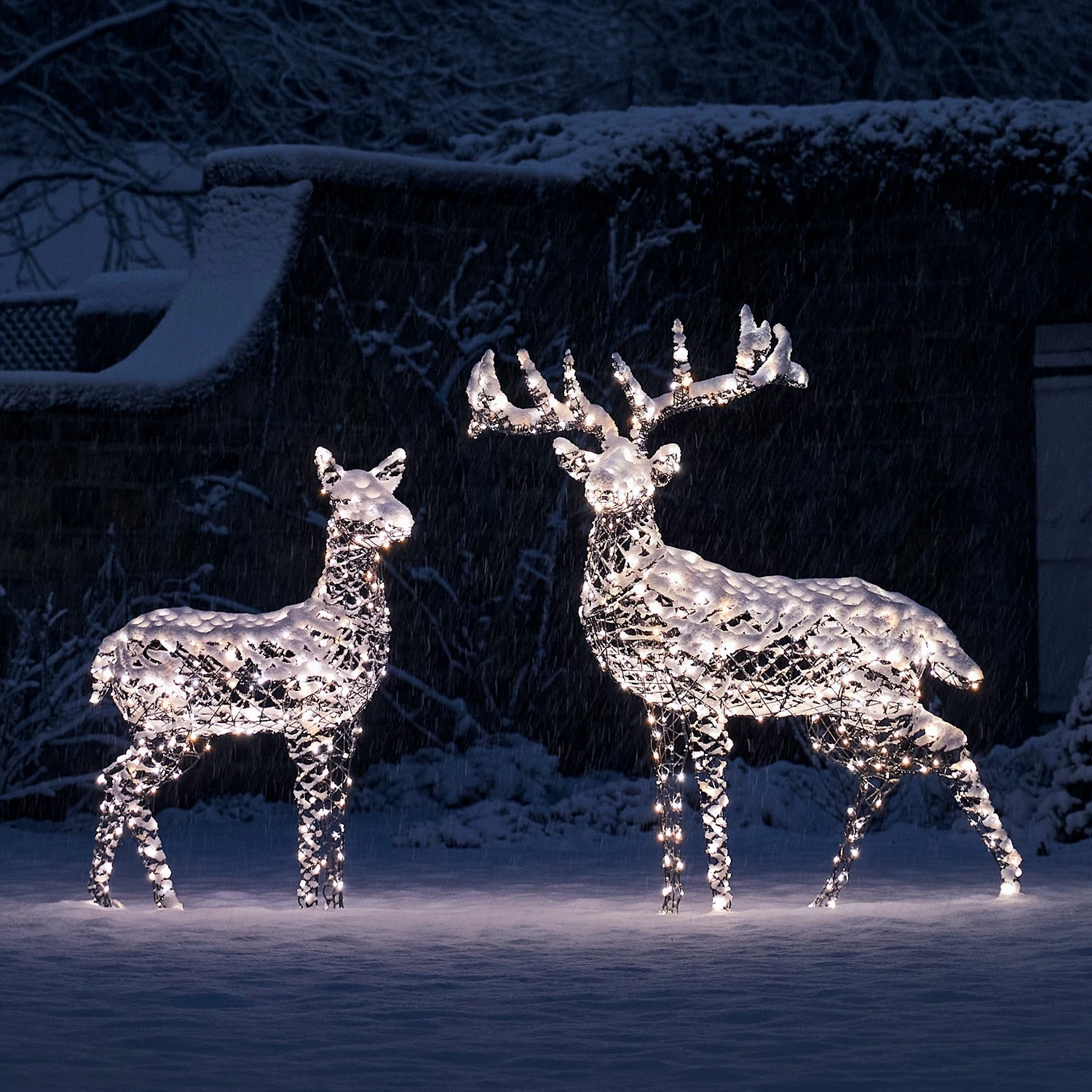 Large Harlow Rattan Stag & Doe Dual Colour LED Light Up Reindeer Duo 2 Large Harlow Rattan Stag & Doe Dual Colour LED Light Up Reindeer Duo - Image 2