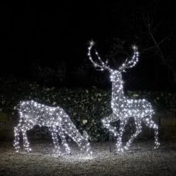 Large Studley Rattan Stag & Doe Dual Colour LED Light Up Reindeer 24v -Holiday Decor Shop D XX221112 Large Studley Rattan Stag Doe 3 in 1 Light Up Reindeer White