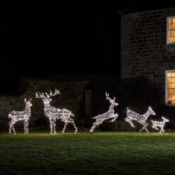 Large Harlow Rattan Stag & Doe Dual Colour LED Light Up Reindeer Duo 22 Large Harlow Rattan Stag & Doe Dual Colour LED Light Up Reindeer Duo -Holiday Decor Shop Harlow Rattan Reindeer family grass dual white 2000x2000 c020276a d94d 4711 bb02 636e345045b2