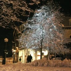 Core Connect 60m 600 White Connectable Fairy Lights Green Cable -Holiday Decor Shop ML100WG White LED Fairy Lights P4 2f250f9c 4fda 471a a94b 83e183fa4a15