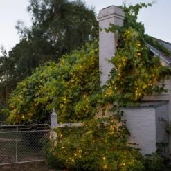 Core Connect 10m 100 Warm White Connectable Fairy Lights Green Cable -Holiday Decor Shop ML100YWG Outdoor Warm White Core Rangeh Fairy Lights String P3