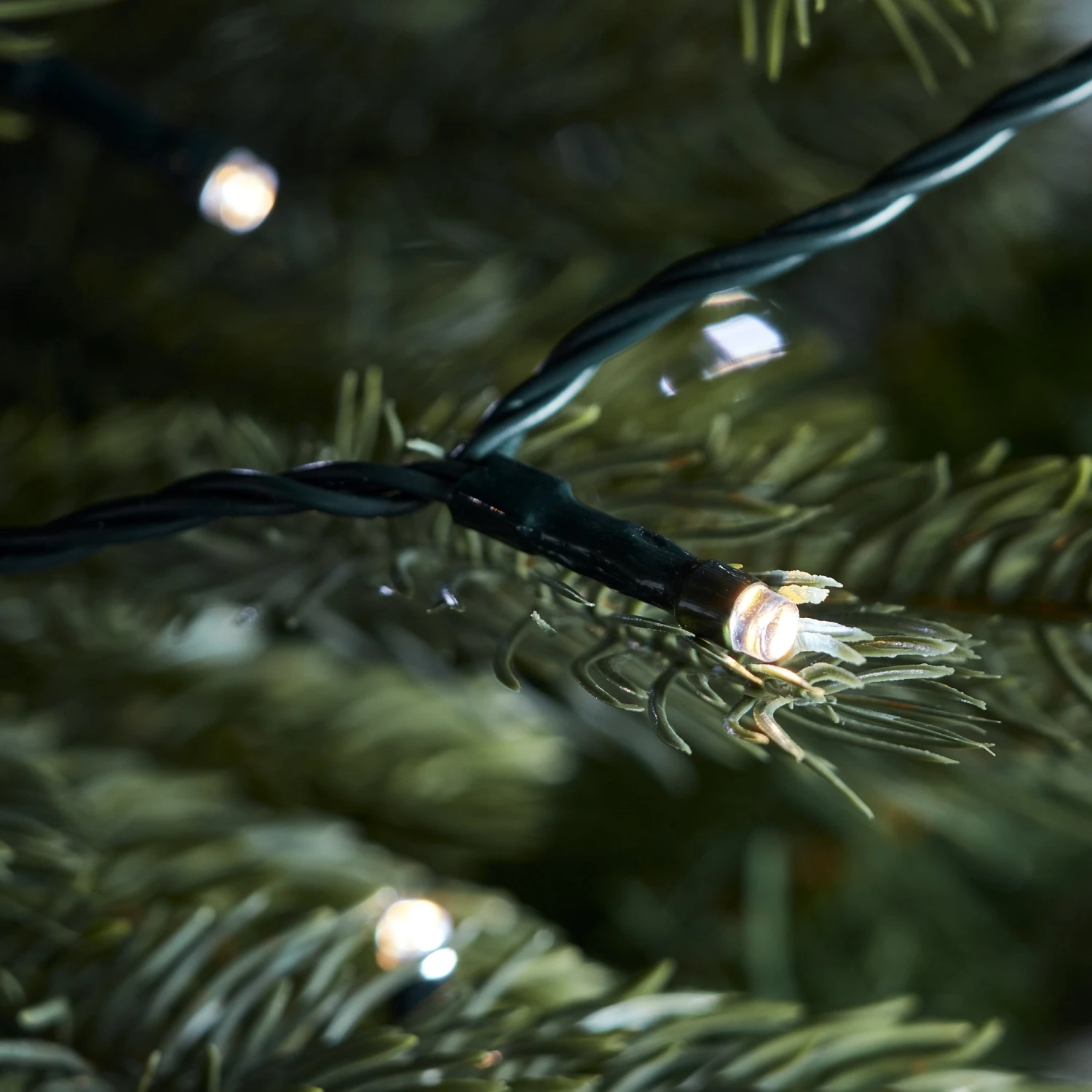 300 Warm White & White Dual Colour LED Christmas Tree Lights 5 300 Warm White & White Dual Colour LED Christmas Tree Lights - Image 5