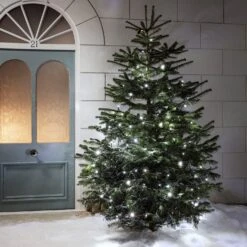 Pro Connect 100m 1000 White Connectable String Lights Black Cable 7 Pro Connect 100m 1000 White Connectable String Lights Black Cable -Holiday Decor Shop PR50WB White String Lights Snowy Christmas Tree Outdoor P3 c2f57db2 f61a 4ccb be32 51a7387a1ce1