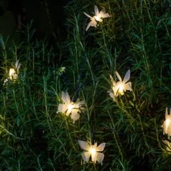 10 Butterfly LED Solar Fairy Lights