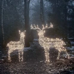 Large Harlow Rattan Stag & Doe Dual Colour LED Light Up Reindeer Duo 23 Large Harlow Rattan Stag & Doe Dual Colour LED Light Up Reindeer Duo -Holiday Decor Shop XX2105XX2104 9