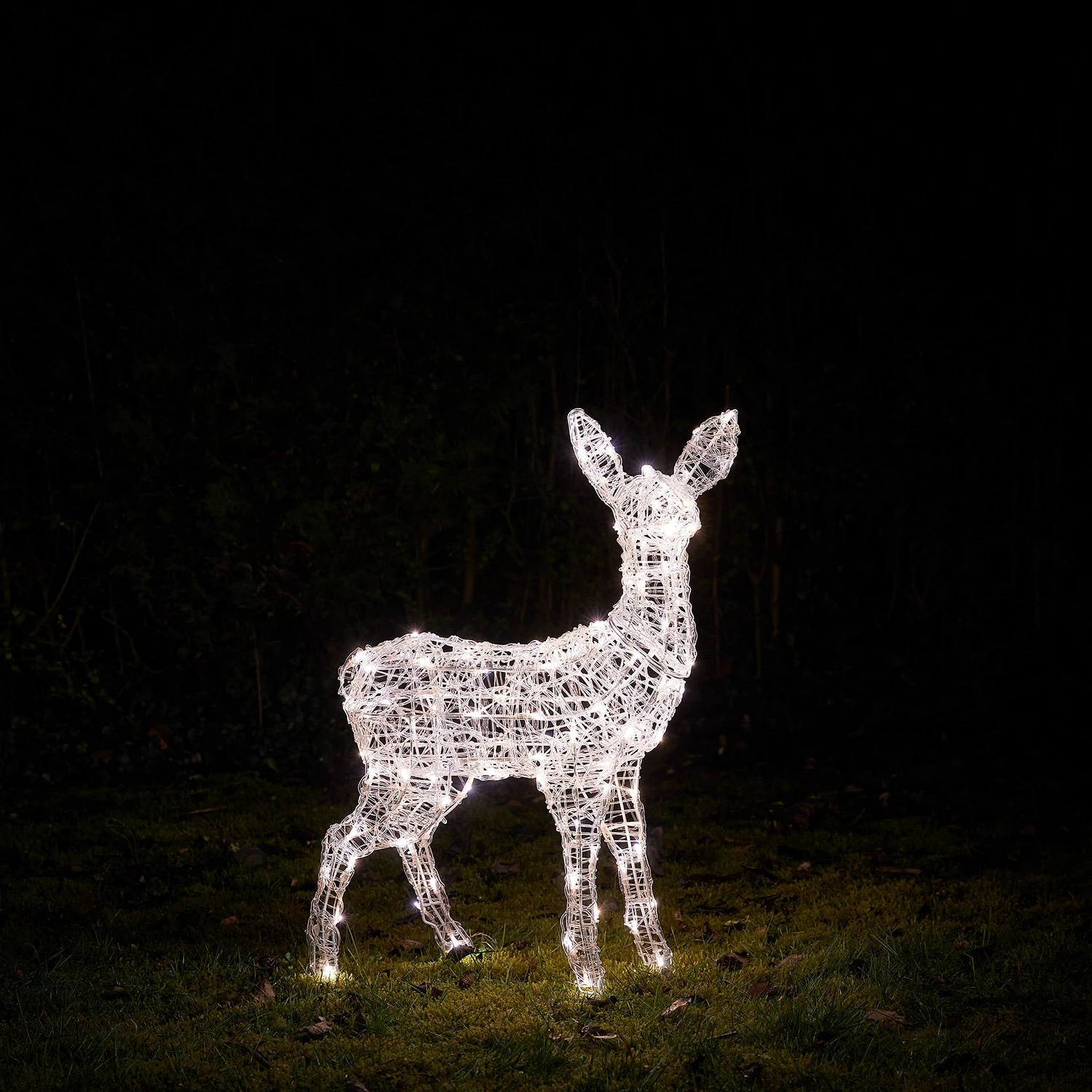 Swinsty Fawn Dual Colour LED Light Up Reindeer 6 Swinsty Fawn Dual Colour LED Light Up Reindeer - Image 6