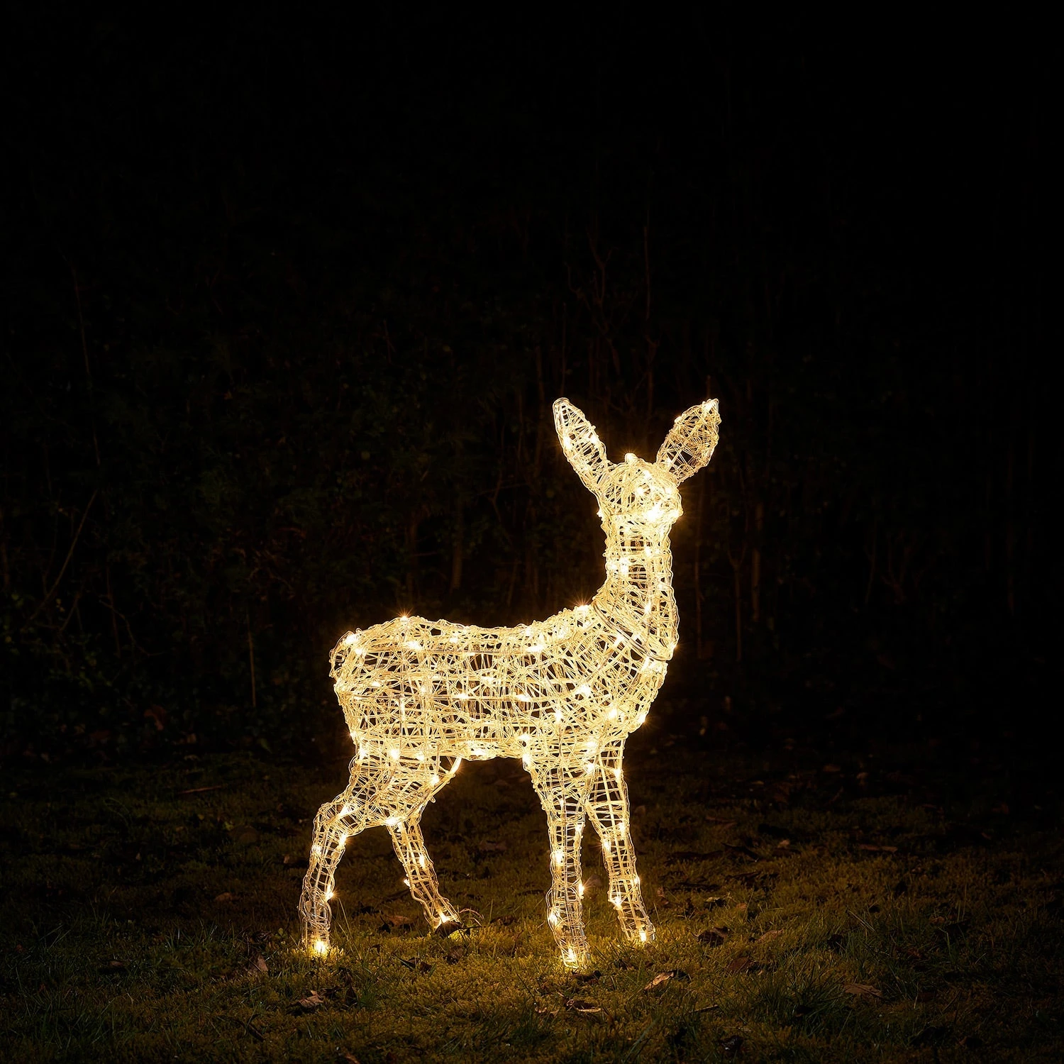 Swinsty Fawn Dual Colour LED Light Up Reindeer 7 Swinsty Fawn Dual Colour LED Light Up Reindeer - Image 7