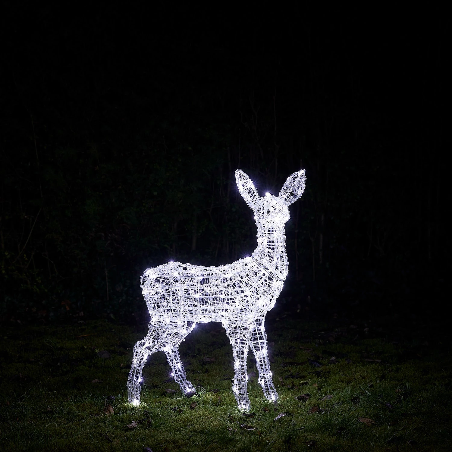 Swinsty Fawn Dual Colour LED Light Up Reindeer 8 Swinsty Fawn Dual Colour LED Light Up Reindeer - Image 8